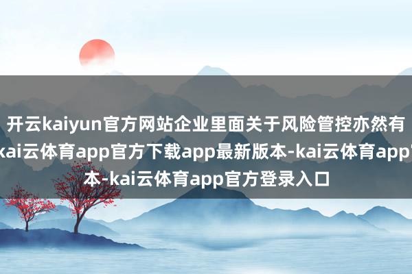 开云kaiyun官方网站企业里面关于风险管控亦然有一定的诉求-kai云体育app官方下载app最新版本-kai云体育app官方登录入口