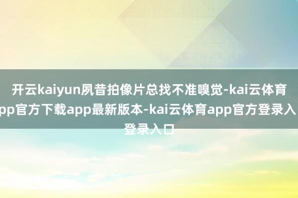 开云kaiyun夙昔拍像片总找不准嗅觉-kai云体育app官方下载app最新版本-kai云体育app官方登录入口