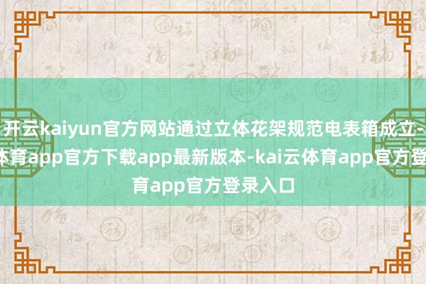 开云kaiyun官方网站通过立体花架规范电表箱成立-kai云体育app官方下载app最新版本-kai云体育app官方登录入口