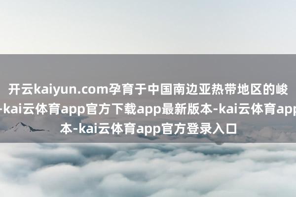 开云kaiyun.com孕育于中国南边亚热带地区的峻岭及丘陵地带-kai云体育app官方下载app最新版本-kai云体育app官方登录入口